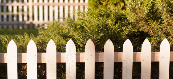 Residential Dog Fence Installation Kennett Square, PA